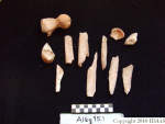L_V20d5027 A16q95.1 R820 lR ta human bones in q-lot